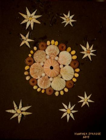 Shell Flowers by Heather Sprague