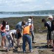 The Pirates dig in the Burnt Island mud flats. KATRINA CLARK/Boothbay Register